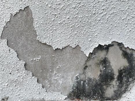 Close-up of a damaged textured exterior wall with missing finish and dark staining
